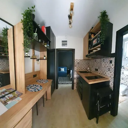 Palicka Oaza 155 Palic