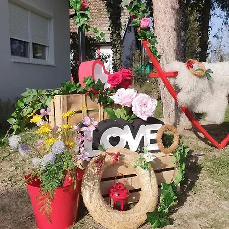 Palicka Oaza 155 * Палич