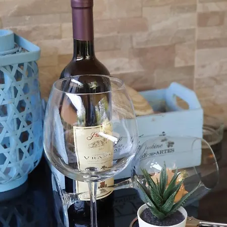 Palicka Oaza 155 Palic