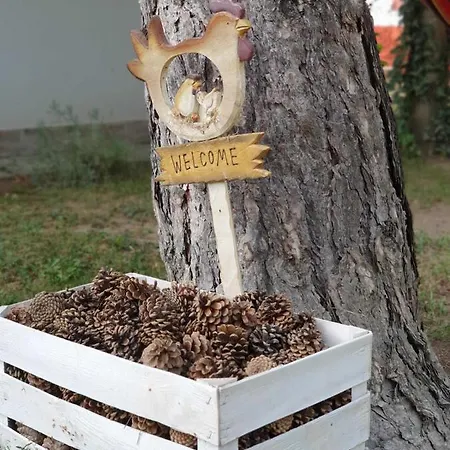 Palicka Oaza 155 Palić