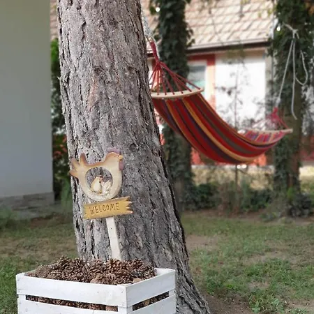 Lägenhet Palicka Oaza 155