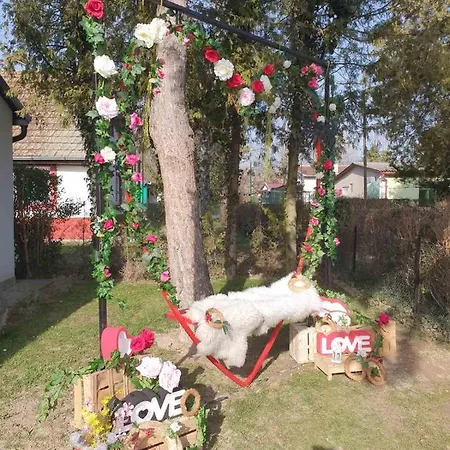 Apartman Palicka Oaza 155