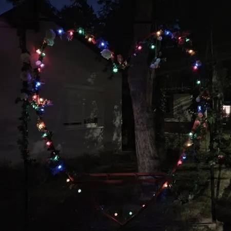 Palicka Oaza 155 * Palić