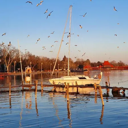 Palicka Oaza 155 * Palić