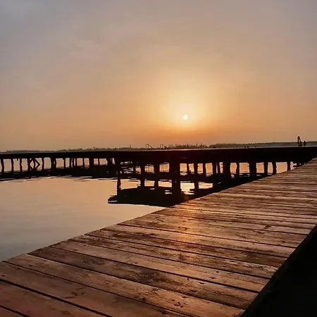 Palicka Oaza 155 * Палич